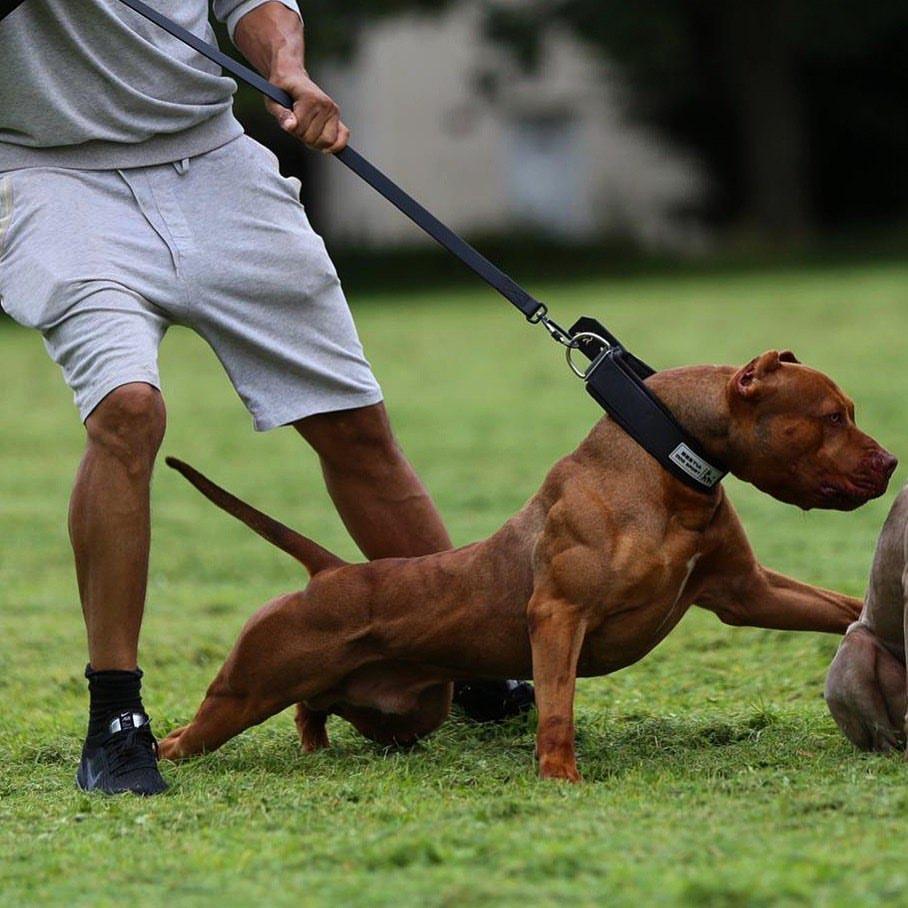 Sport et entraînement